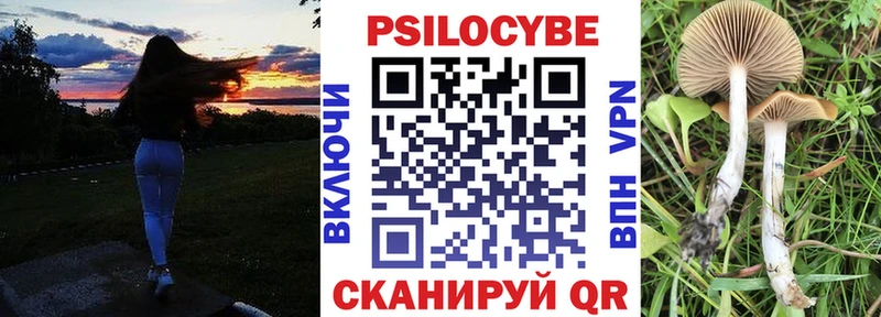 хочу   блэк спрут зеркало  Псилоцибиновые грибы Psilocybine cubensis  Мезень 